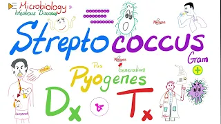 Streptococcus Pyogenes Diagnosis and Treatment | Microbiology 🧫 & Infectious Diseases 🦠