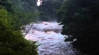 Aysgarth Falls, Wensleydale, in full flood