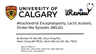 Mitochondrial Encephalopathy Lactic Acidosis Stroke-like Episodes (MELAS)