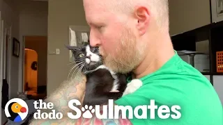 Guy Risks His Marriage For A Stray 3-Legged Cat | The Dodo Soulmates