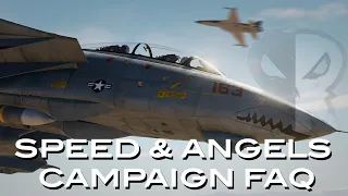 DCS F-14 Speed & Angels Campaign FAQ