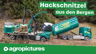 Lener Hackgut | Die Hackschnitzel Profis aus Tirol | Teil 1 | JENZ Hacker mit 1.300 PS