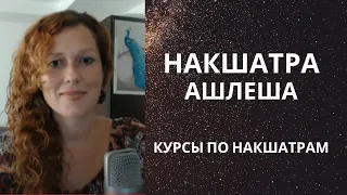 Накшатра Ашлеша