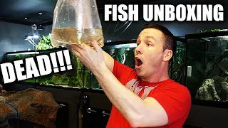 Unboxing the WORST aquarium fish shipment!