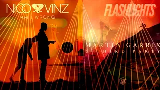 Carry You vs. Am I Wrong (Martin Garrix Tomorrowland 2023 Intro Edit)