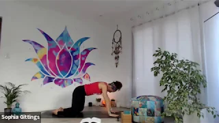 Vinyasa Intermediate - Gravity Surfing