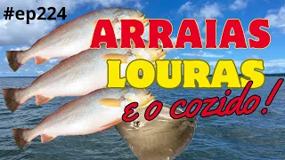 #ep224 - Várias arraias e pescadas amarela no alto mar