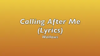 Calling After Me - Wallows (Lyrics)