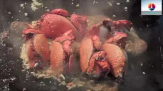 Taiwan Street Food   Red King Crab Seafood