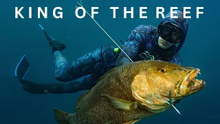 Spearing the Most PRIZED Fish | Cubera Snapper