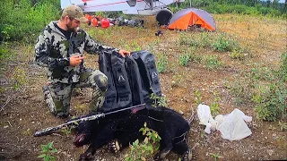 BEAR ATTACKED OUR TENT