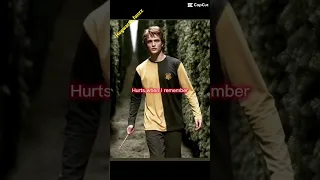 It hurts when I remember #cedricdiggory #gobletoffire #harrypotter