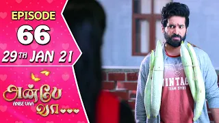 Anbe Vaa Serial | Episode 66 | 29th Jan 2021 | Virat | Delna Davis | SunTV Serial | Saregama TVShows