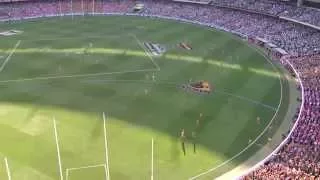 2014 AFL Grand Final - Hawthorn v Sydney Coaches Footage