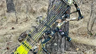 HOYT RX7 ULTRA review (Why I traded in my aluminum bow for Carbon, it’s worth it!!!!)