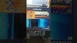 Lowrance hook reveal 9. Просто в работе.