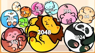 Merge Lion 3D - ASMR Gameplay (Animal Evolution, Level Up Balls 2048 Puzzle)