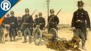 BELGIUM DEFENSE SLAMS GERMANY | WWI Battles | Battle of Empires: 1914-1918 [MOD] Gameplay