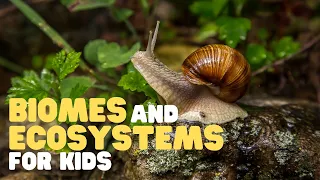 Biomes and Ecosystems for Kids | Learn about the different types of ecosystems and biomes