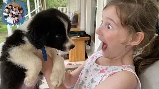 SURPRISING THE KIDS WITH A PUPPY!