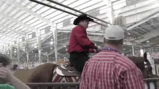 NRHA Futurity 2012 - Electric Jac's First Run