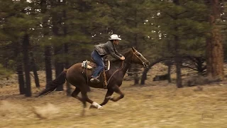 Horseback Riding near Bryce Canyon ~ Slow Motion