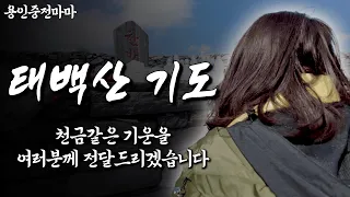 2024년 갑진년 태백산 기도. 태백산의 기운을 여러분에게 전달드리겠습니다. [용한무당 용인중전마마]