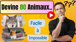 Devinez 80 animaux en 3 secondes | Facile, Moyen, Difficile, Très difficile Impossible