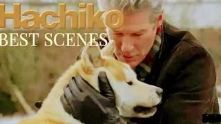 "Hachiko a dog's tale" english full movie (Indonesian subtitles) please subscribe