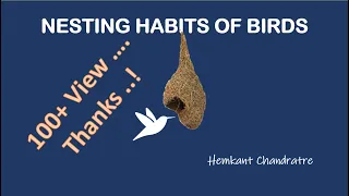 Nesting habits of Birds