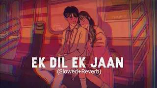 Ishq Bhi Tu Mera Pyar Bhi Tu Slowed Reverb/ Ek Dil Ek Jaan Slowed Reverb