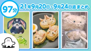 【赤ちゃんが喜ぶ】シナぷしゅ公式21/09/20～09/24まとめ│テレビ東京ｘ東大赤ちゃんラボ│赤ちゃんが泣き止む・知育の動画