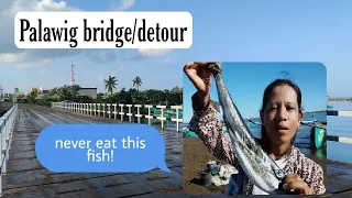 PALAWIG Today: the bridge, the river and the sea | detour bridge