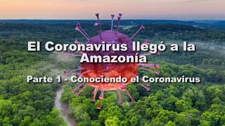 El Coronavirus llegó a la Amazonía. Parte 1: Conociendo el Coronavirus