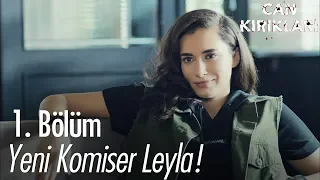 Yeni Komiser Leyla! - Can Kırıkları 1. Bölüm