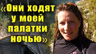 Трагическое путешествие Эммы Келти. Опасные джунгли Амазонки. Пропавшие без вести в дикой природе