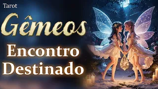 ♊SUA FELICIDADE VAI DEIXAR MUITA GENTE DE CABELO EM PÉ🤣JUSTIÇA SE CUMPRE✨tarot signo de gêmeos