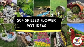 50+ Spilled Flower Pot Ideas to Brighten Up Your Garden Landscape