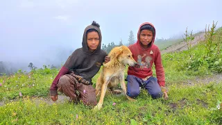 Mushroom Hunting From jungle for Cooking Purpose| Part-1 Village of Kitchen | Pure Nepali Kitchen 🇳🇵