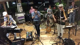 A Whiter Shade of Pale (Procol Harum) – live cover by The Beach band