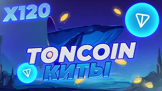 ВАЖНО! TONCOIN РОСТ АКТИВНОСТИ КИТОВ! ВОТ ПОЧЕМУ TONCOIN ПОКАЗЫВАЕТ РОСТ! НОВОСТИ И АНАЛИЗ TONCOIN!