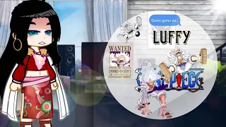🏴‍☠️Past Warlords+Law react to luffy gear 5 🍖 marineford ⚓ (contém spoiler)🏴‍☠️🗺☀️🌊