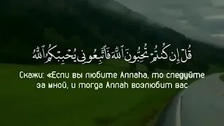 Чтец: Ахмад Аль Аджи Сура: 3 Аяты: 31:32  #quran #коран #азан #рамадан #islam #ислам #джума #дуа #са