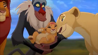 Simba & Spirit part 5