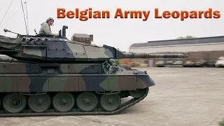 The history of the Belgian Leopard and its variants