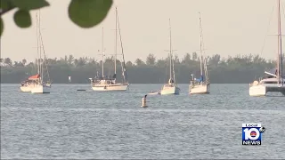 Girl dies during boat collision off Key Biscayne