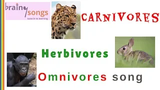 Carnivores Herbivores Omnivores Song | What do these animals eat?