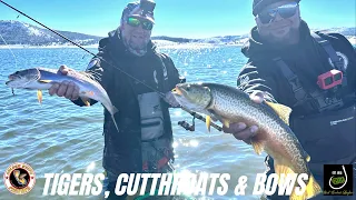 Trout Fishing Southern Utah (Targeting Tiger, Cutthroat, and Rainbow Trout)