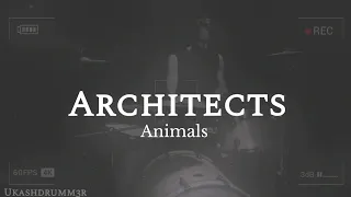 Architects - Animals | Łukasz Kociubiński drum cover