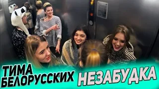 MUSICAL ELEVATOR - Tima Belarusian - Nezabudka